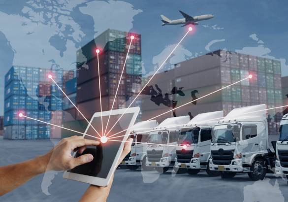 Smart Logistics: The Technology Behind Yazati’s Export Success